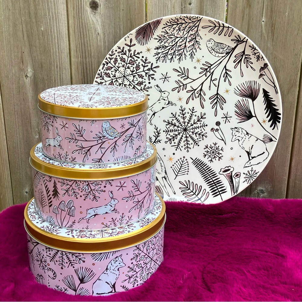 Whimsical Oversized Plate and Storage Containers Set